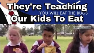 They're Teaching Our Kids To Eat Ze Bugs....