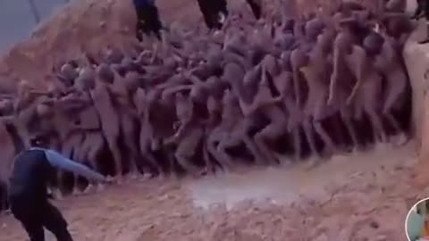 Auction by Africans by AfricansWhere they are forced to work in tunnels.