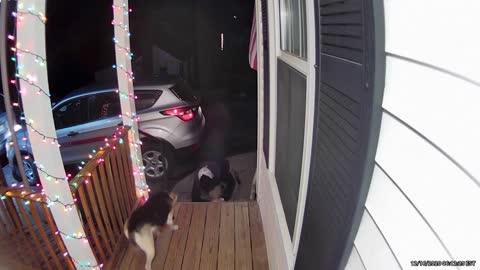 Guy Slips on Doormat and Falls to the Ground