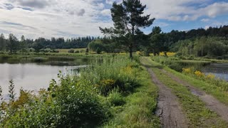 Mokradła pomiędzy Krogulcem a Karpnikami