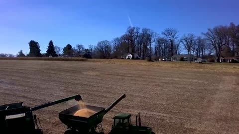 Corn Harvest 2021