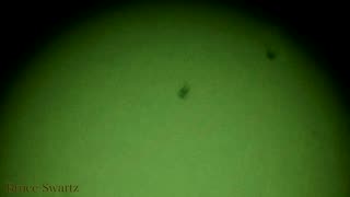 Asteroid Meteor or Debris field flying by the Sun Real Videos No Bull Her3e