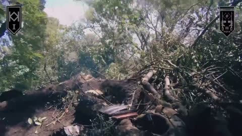 Clearing of trenches with occupants by soldiers of the 3rd company of the 1st