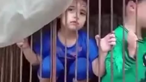 Captured Jewish children in cages