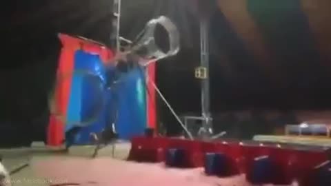 Accidente circo