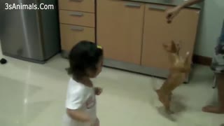 Babies and pets - compilation