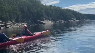 Baby Seal Visits Kayakers