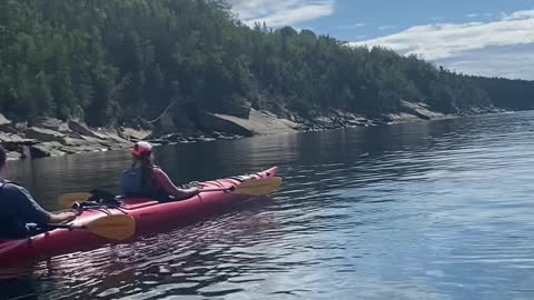 Baby Seal Visits Kayakers