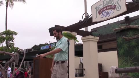 Parrot Talking Zoo Visits_p14