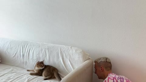 Cat Wins at Peek-a-Boo