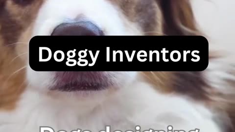 Doggie Inventors