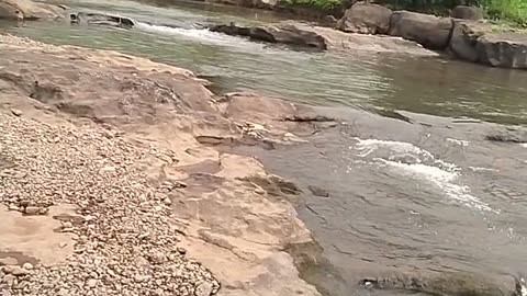 The river in India nothing at badi.