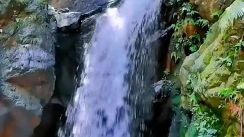 RELAXING SOUNDS FOR SLEEPING-Water Flowing-Waterfall Sound-Bird Song Noises-Nature Sounds
