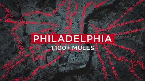 [2000 Mules] Philly Had >1k Mules Visiting an Avg of 50 Drop Boxes/Day/Mule