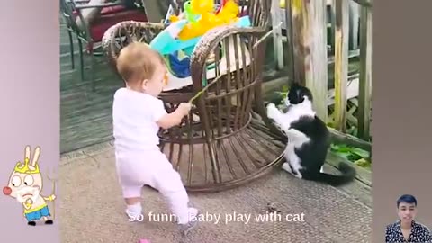Cute Cats Takes Care of Baby