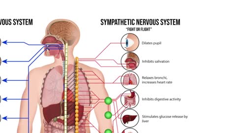 Inilah yang terjadi pada organ tubuhnya seorang pria yang menelan kafein kering 35000 miligram