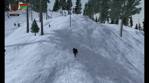 WolfQuest persistant packs update 29