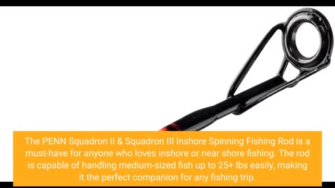 Customer Reviews: PENN Squadron II & Squadron III Inshore Spinning Fishing Rod