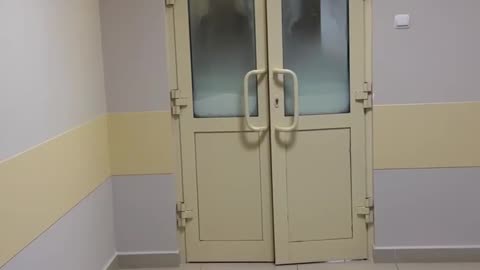 Images of the Theotokos/Virgin Mary appear on doors inside Russian military hospital