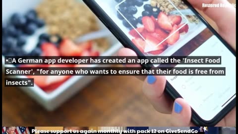 Insect Detecting Food App .......