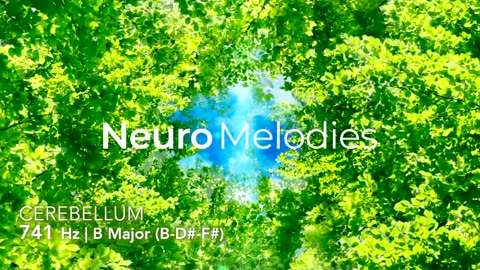 Cerebellum Healing with 741 Hz Frequency & B Major Chords ｜ Melodic Precision Brain Healing ｜ Forest