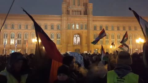 Demo gegen die AFD am 17.01 in Berlin wurde zu einer „Free Palästina“ Demo.