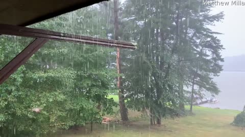 Lightning Strike Dashes Backyard Tree to Pieces