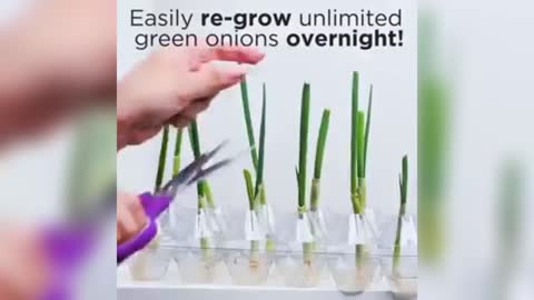 Awesome Gardening hacks