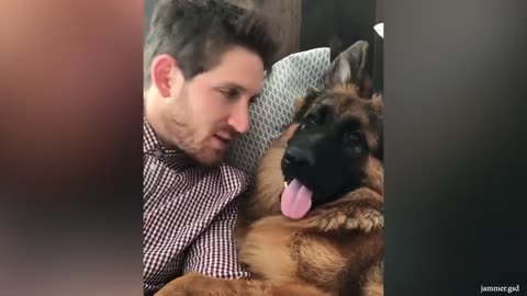 This is why German Shepherds are the FUNNIEST DOGS