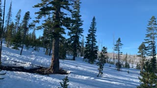 Hiking the Snowy Alpine Forest – Upper Three Creek Lake Sno-Park – Central Oregon – 4K