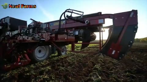 Harvesting equipment for broccoli, cabbage, carrots and onions: world modern agriculture technology