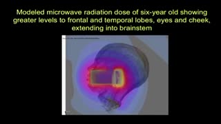 Radiation from Cell Phones
