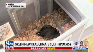 "Green new deal scams"