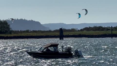 Flying kites on Jetty Island, Everett, Washington