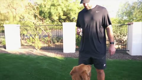 Dog training video
