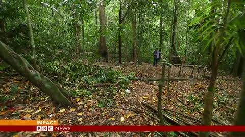 Malaysia: Jungle camps where traffickers raped & killed - BBC News