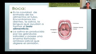 El Atrio y El Cuerpo Humano 3