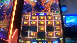 Buffalo Cash Slot Machine Play Bonuses Free Games!