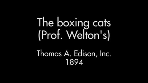 The Boxing Cats (1894 Original Black & White Film)