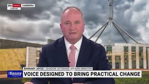 Barnaby Joyce pushes for ‘regional senators’