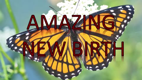 Amazing New Birth (December 30, 2009)