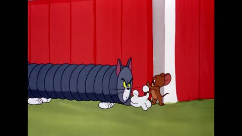 Tom & Jerry Cartoon