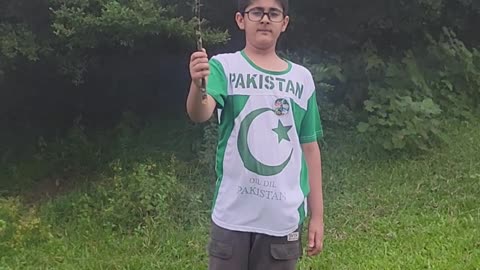 Dil Dil Pakistan