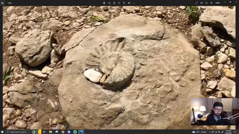 Underground Science #196 - An Ammonite's Tale