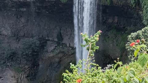 Exploring the Natural Beauty of Tincha Waterfall | Indore, Madhya Pradesh