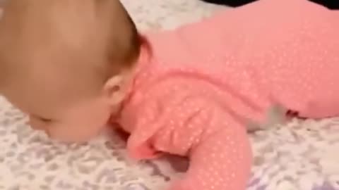 Funny videos of Babies Crawling | Funny Babies | Cute Babies Funny Videos