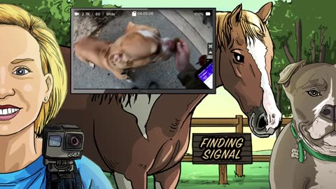 Livestreaming Shelter Dogs at the ARC! [9-29-23] // Grab some coffee and enjoy the sights & sounds