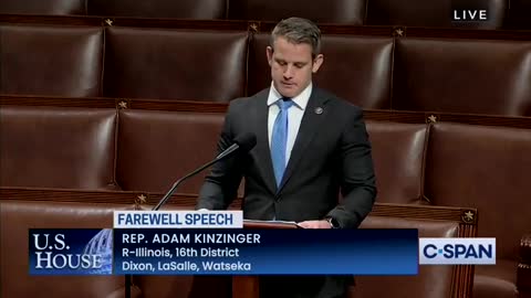 RINO Kinzinger Goes On INSANE Rant During Farewell Speech