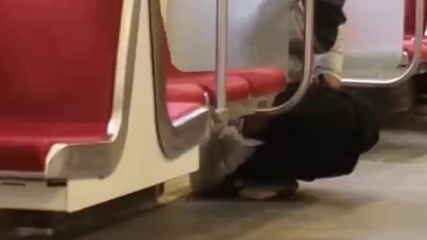 Peeing On The Train