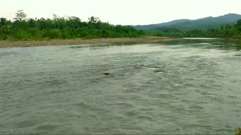 Solo camping overnight rainy ASMR relaxing nature sounds of river